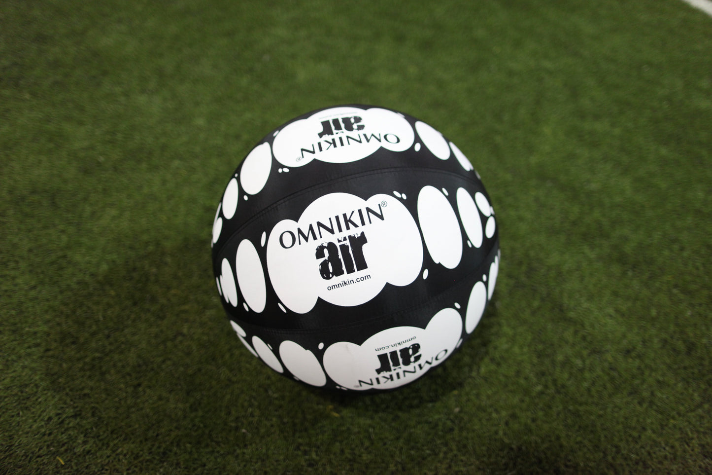 Omnikin Air Balls