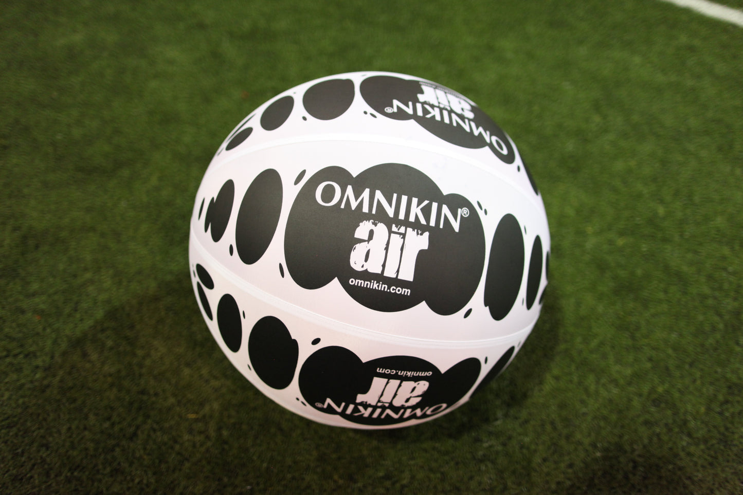 Omnikin Air Balls