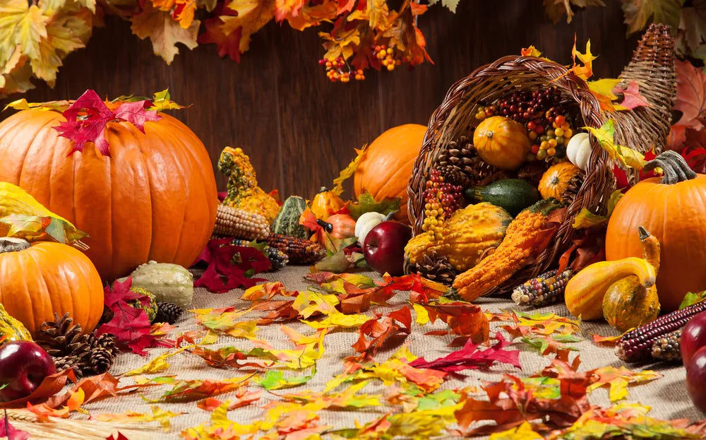 Thanksgiving Games: Fun Ways to Bring Everyone Together This Holiday